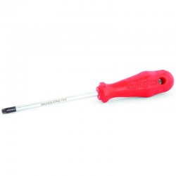 İzeltaş 4776180025 Delikli Torx Uçlu Tornavida TR25